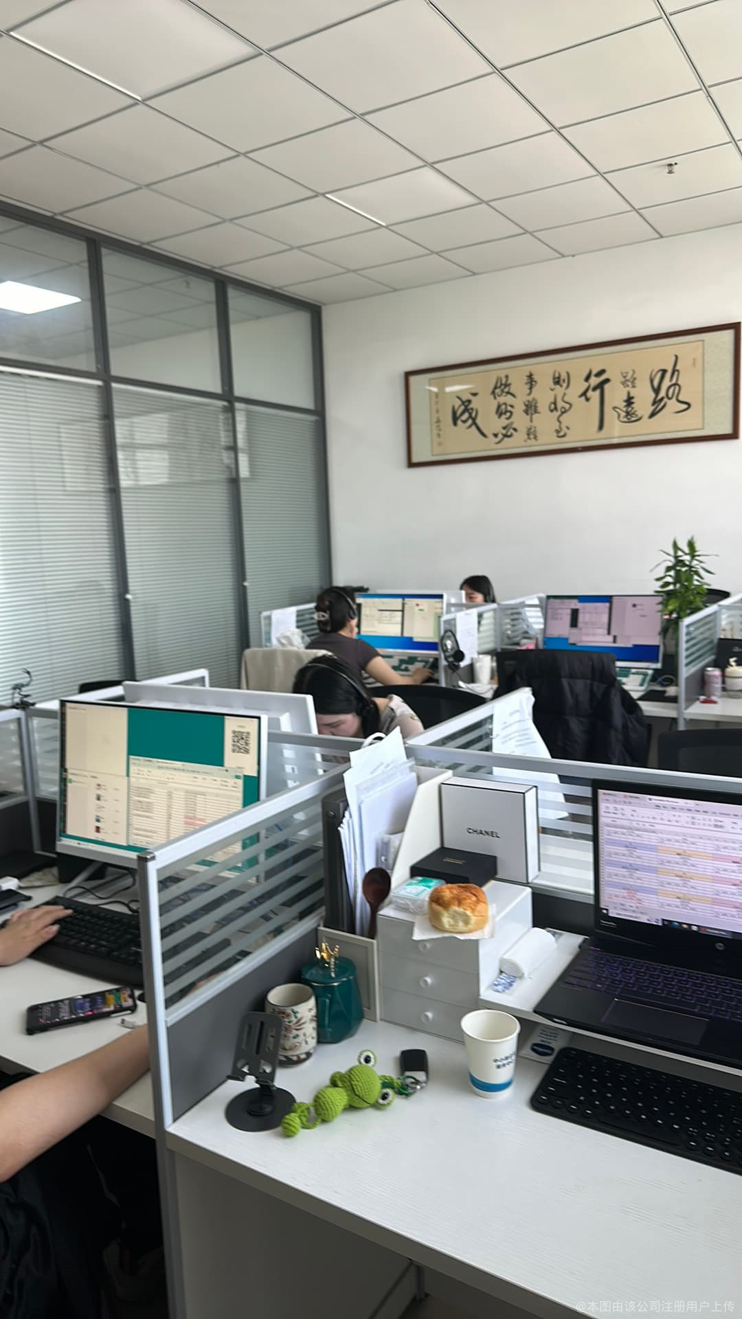 譯家財務(wù)咨詢服務(wù) 您的財務(wù)管理專家